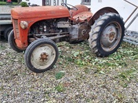 Ferguson 31 - Traktorer - Traktorer 2 wd - 1