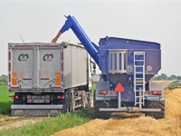 GrainSaver GS24,5 - Fabriksny til hurtig levering - Vogne - Frakørselsvogne korn - 5