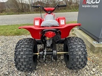 SMC R100 Sport Off road - ATV - 4