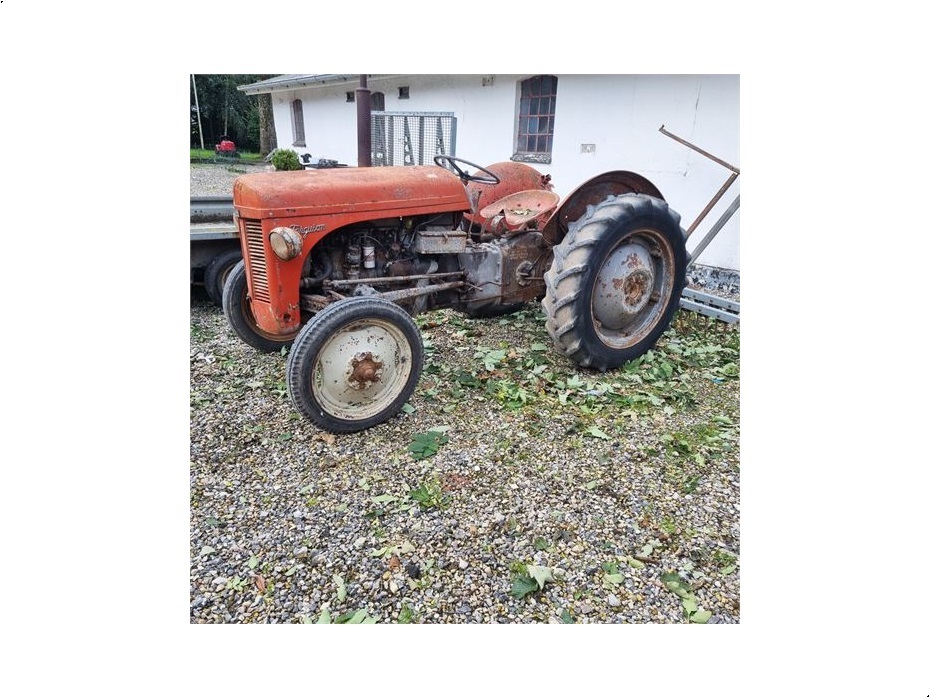 Ferguson 31 - Traktorer - Traktorer 2 wd - 1