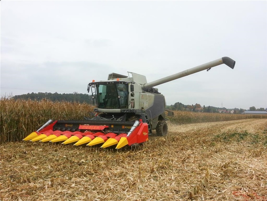 Ziegler Corn Champion - Høstmaskiner tilbehør - Majs Plukkebord - 4