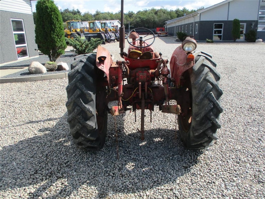 Bukh 403 Med Fjernudtag - Traktorer - Traktorer 2 wd - 14